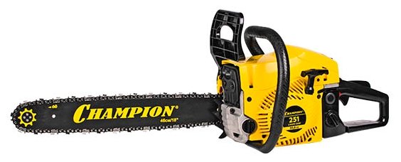 CHAMPION 251-18