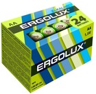 Ergolux (AA, 24 шт)