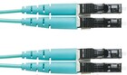 Panduit FZ2ELLNLNSNM008, 8м