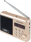 Perfeo Sound Ranger Gold