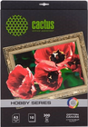 Холст Cactus CS-CA326010
