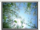 Lumien Eco Control 125х200 Matte White