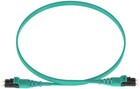 Panduit FZ2ELQ1Q1SNM001, 1м