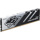 16Gb DDR5 6200MHz Apacer PANTHER (AH5U16G62C5327BAA-1)