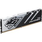 32Gb DDR5 6400MHz Apacer PANTHER (AH5U32G64C5527BAA-1)