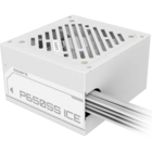 650W Gigabyte P650SS ICE