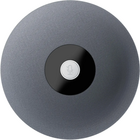 SBER SDMIC-001