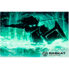 Raskat Paladin IP - L