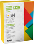 Cactus CS-CPY-A480500