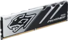 32Gb DDR5 6000MHz Apacer PANTHER (AH5U32G60C6227BAA-1)