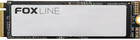 256Gb Foxline X5T (FL256M80CSM259X5T)
