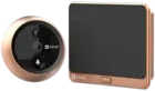 EZVIZ CS-DP2C-R100-6E2WPFB-GD