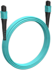 Cabeus FOP-50-OM3-12-MPO(F)-12-MPO(F)-B-1m, 1м