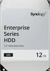 12TB SAS Synology (HAS5310-12T)