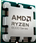 AMD Ryzen 3 8300G OEM