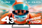 SBER 43