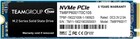 1TB Team MP33 (TM8FP6001T0C101)