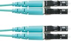 Panduit FZ2ELLNLNSNM004, 4м