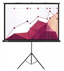 Экран напольный Cactus Triscreen 180x180см (CS-PST-180X180)