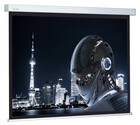 Экран настенный Cactus Wallscreen 128x170.7см (CS-PSW-128X170)