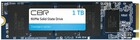 1Tb CBR Standard (SSD-001TB-M.2-ST22)