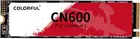 256GB Colorful CN600