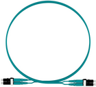 Panduit FZ2ELLNLNSNM002, 2м