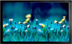Экран Cactus FrameExpert 113x200см (CS-PSFRE-200X113)