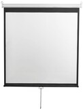 Экран Digis Optimal-D 248x250см MW (DSOD-1107)