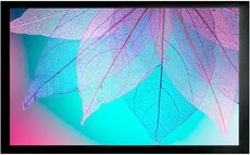 Экран Cactus FrameExpert 124x220см (CS-PSFRE-220X124)