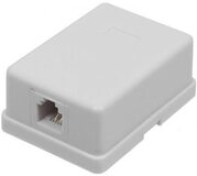 Информационная розетка ITK CS2-1C5EU-12