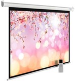 Экран Cactus MotoExpert 220x220см (CS-PSME-220X220-WT)