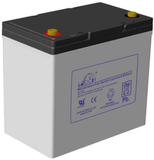 Leoch DJM1255