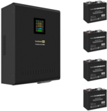 ExeGate FineSine SX-3000.LCD.AVR.2SH.T + 4x DTM 1255 (55Ач)