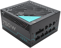 750W AZZA PSAZ-750G