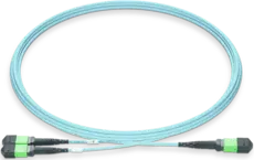 NVIDIA 980-9I556-00N020, 20м