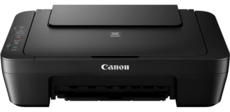 Canon PIXMA MG2550S (0727C006)