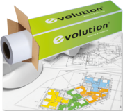 Technoevolab EVOLUTION PPC DRAFT Paper (2104520)