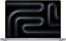 Apple MacBook Pro 16 (M4 Pro, 2024) (MX2U3HN/A)