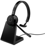 Jabra Evolve 65 TE Mono MS