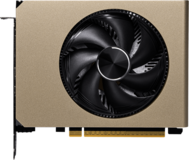 NVIDIA GeForce RTX 5060 MSI OC 8Gb (RTX 5060 8G INSPIRE ITX OC)