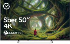 SberDevices 50