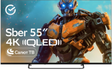 SberDevices 55