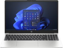 HP 250 G10 (725G7EA)