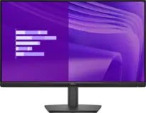Dell 24