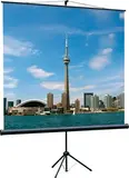 Экран Lumien Master Picture 305х229 MW