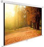 Экран Cactus WallExpert 125x200см (CS-PSWE-200X125-WT)