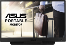 Монитор ASUS 16' MB165B