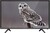 Vekta 24" LD-24TR4315BT