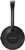 Ritmix RWA-250